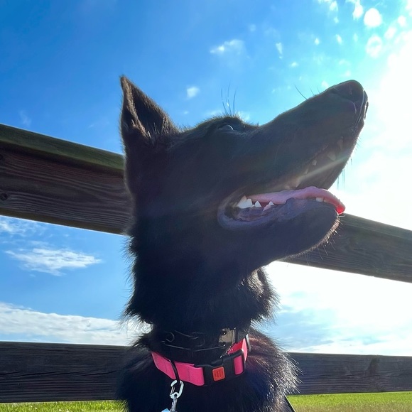 👉PLEASE LIKE AND SHARE NEW GAME! 😊🥰🎉 - Picture 4 of 16